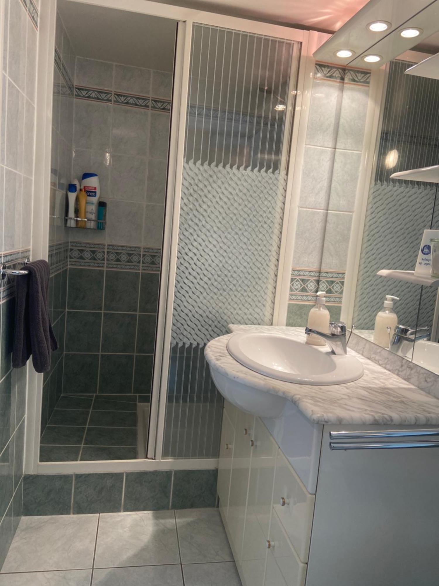Sweet Home - 55M2 Appartment, Garden, Swimming Pool, Parking 툴루즈 외부 사진